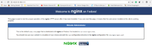 nginx default page