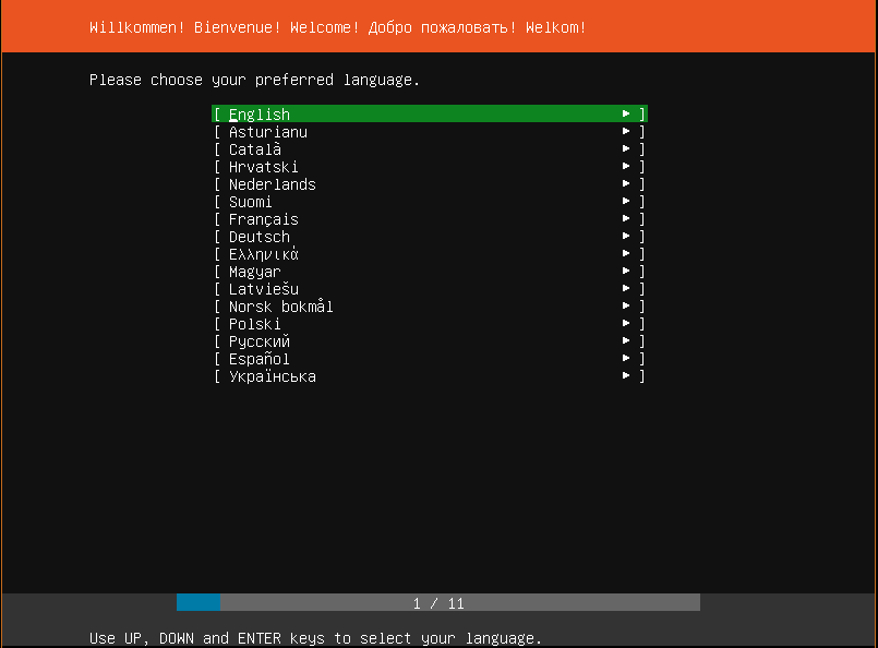 install Ubuntu Server 18.04