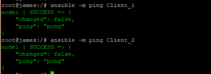 ansible -m ping clients