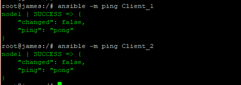 ansible -m ping clients install Ansible on Ubuntu 18.04