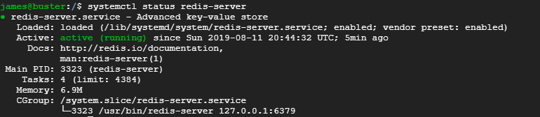 check status of Redis Server