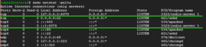Nestat-check-Redis-server