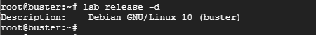 check version of Linux using lsb_release