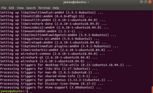 wireshark installed on Ubuntu